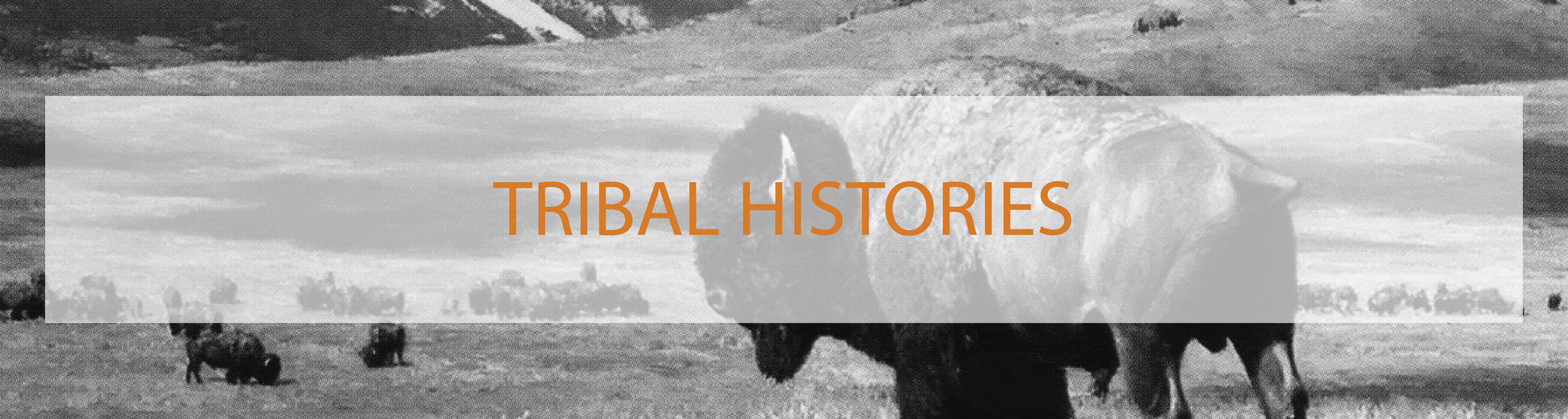 Tribal Histories