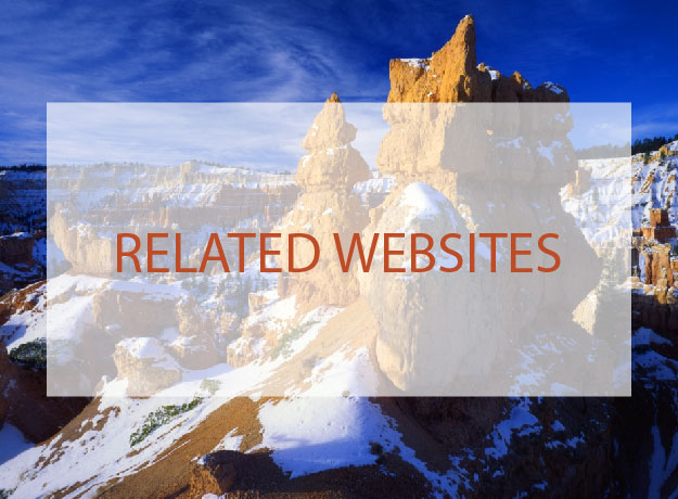 RELATED WEBSITES
